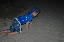 2007-01-13-1251_TAD_120
